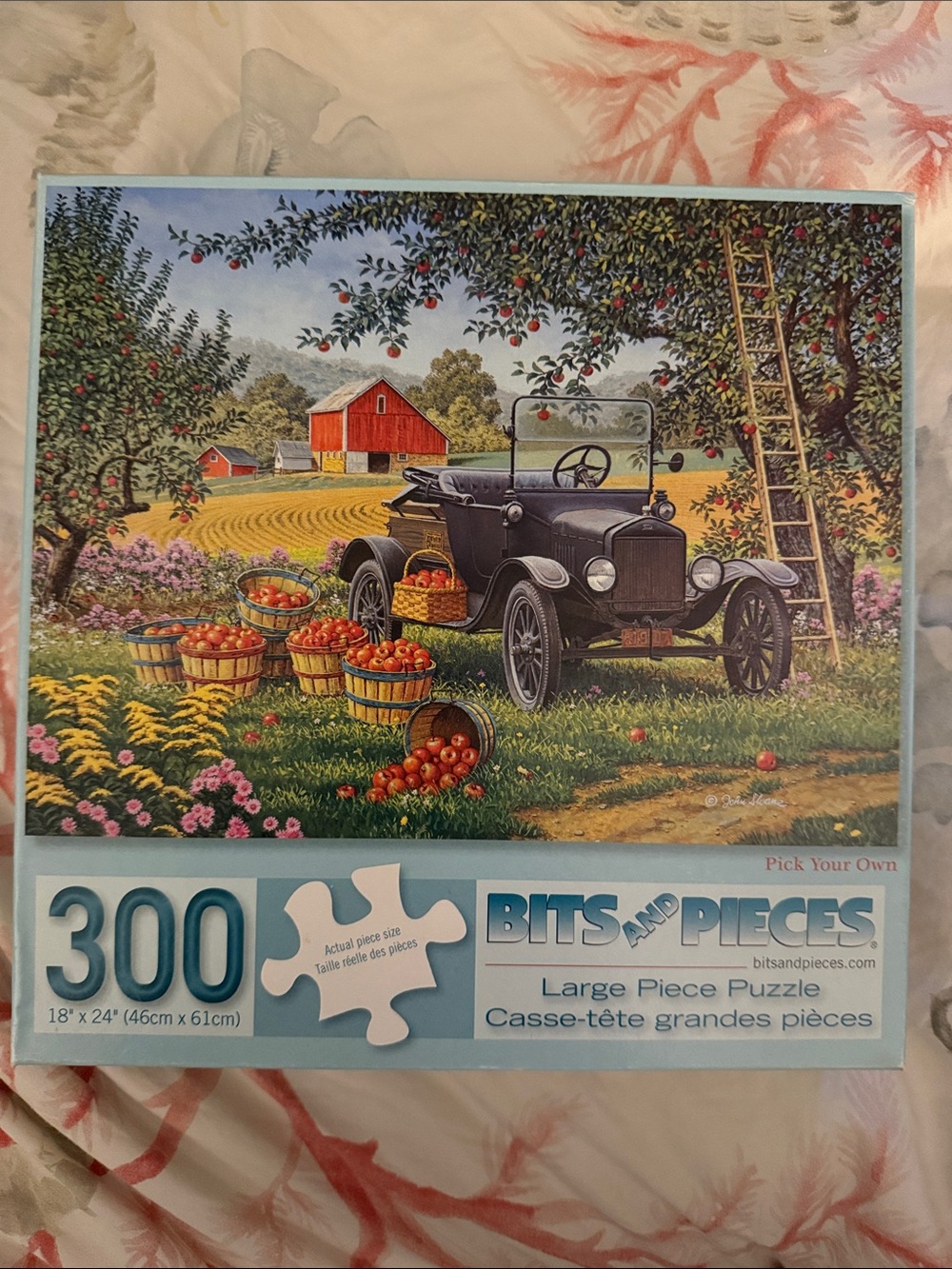 Bits and Pieces 'Pick Your Own' 300-Piece Jigsaw Puzzle - Blue